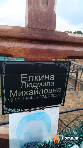 Елкина Людмила Михайловна