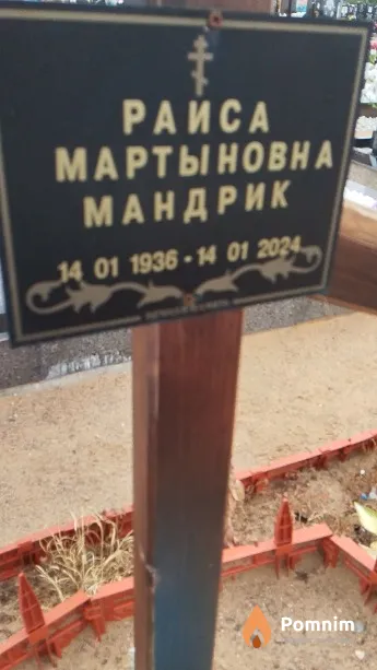 Мандрик Раиса Мартыновна