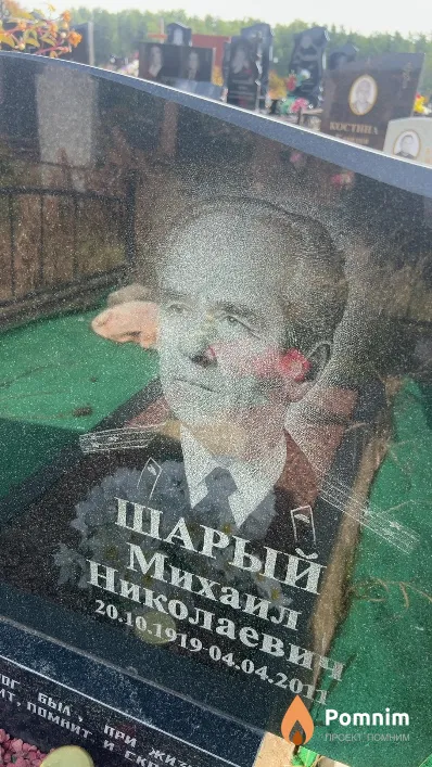 Шарый Михаил Николаевич