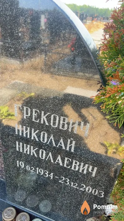 Грекович Николай Николаевич