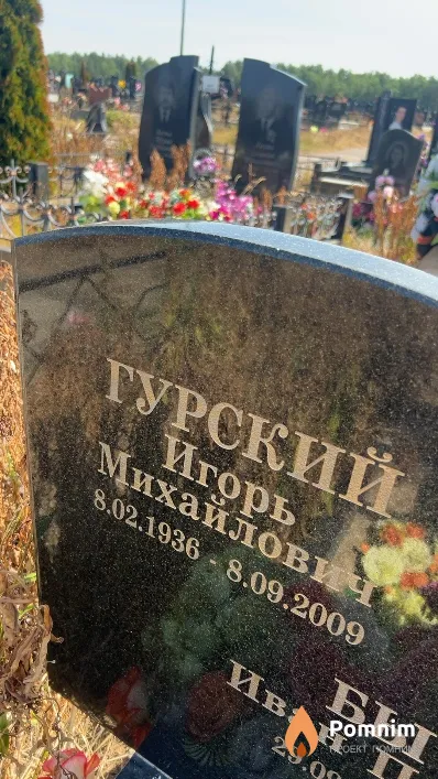 Гурский Игорь Михайлович
