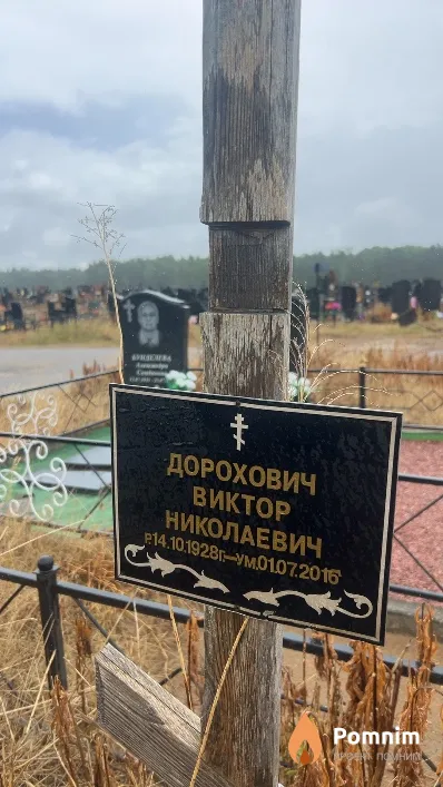 Дорохович Виктор Николаевич