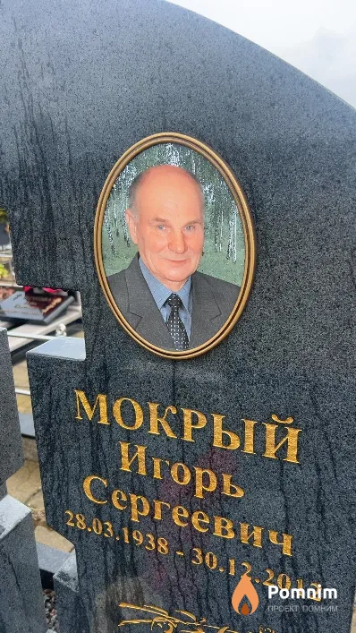 Мокрый Игорь Сергеевич