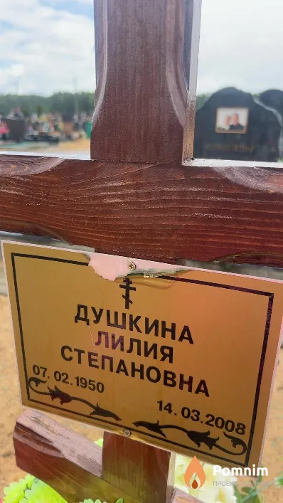 Душкина Лилия Степановна