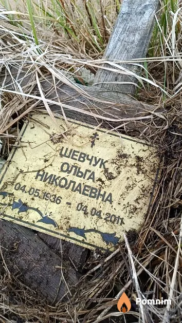 Шевчук Ольга Николаевна