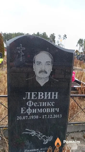 Левин Феликс Ефимович