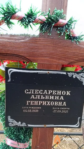 Слесаренок Альбина Генриховна