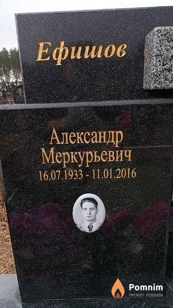 Ефишов Александр Меркурьевич