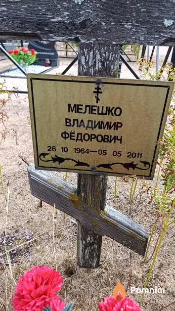Мелешко Владимир Фёдорович