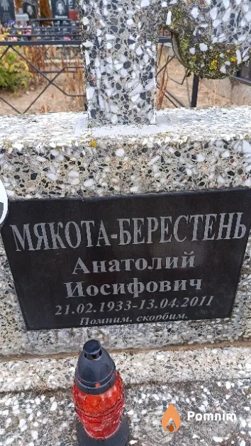 Мякота - Берестень Анатолий Иосифович