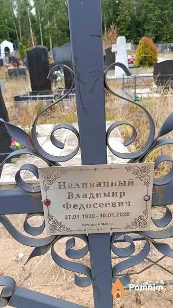 Наливанный Владимир Федосеевич