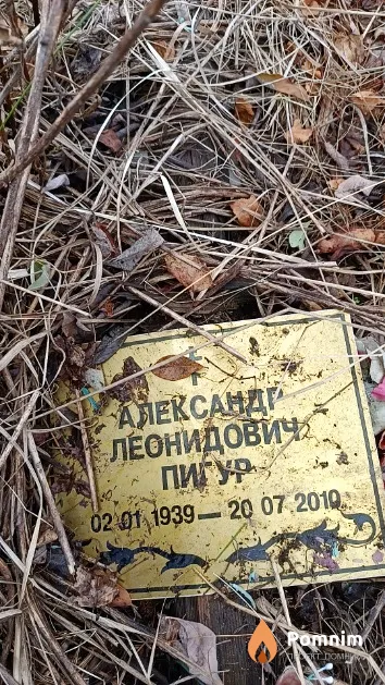 Пигур Александр Леонидович