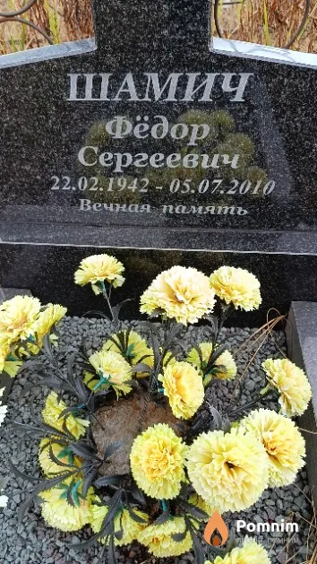 Шамич Фёдор Сергеевич