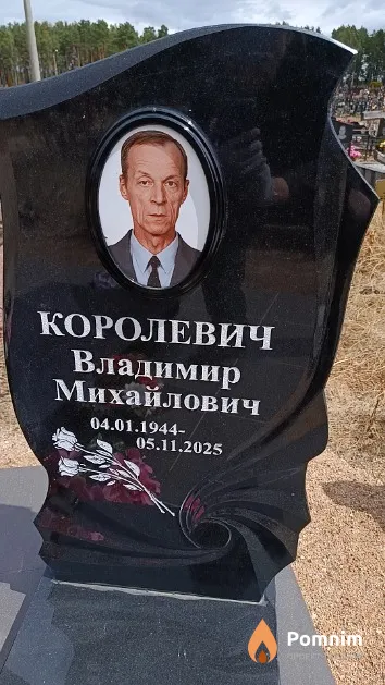 Королевич Владимир Михайлович