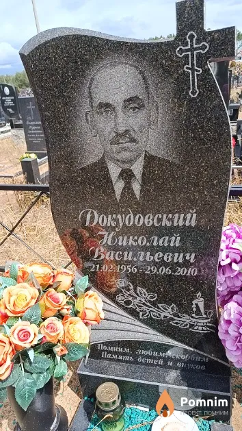 Докудовский Николай Васильевич