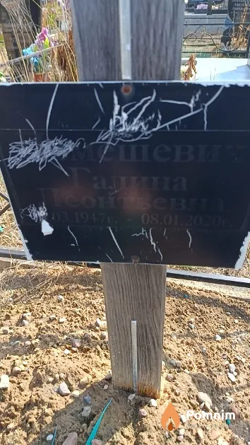 Лемешевич Галина Леонтьевна