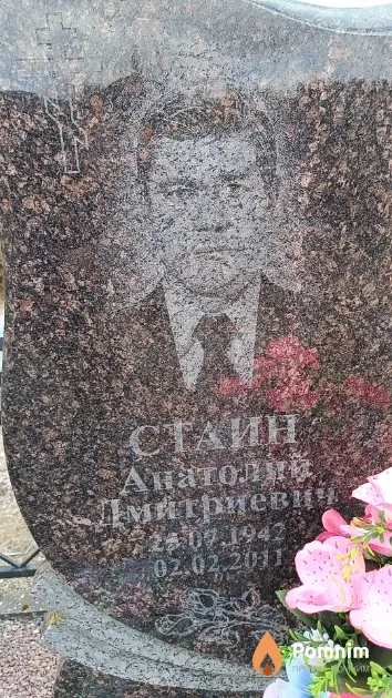 Стаин Анатолий Дмитриевич
