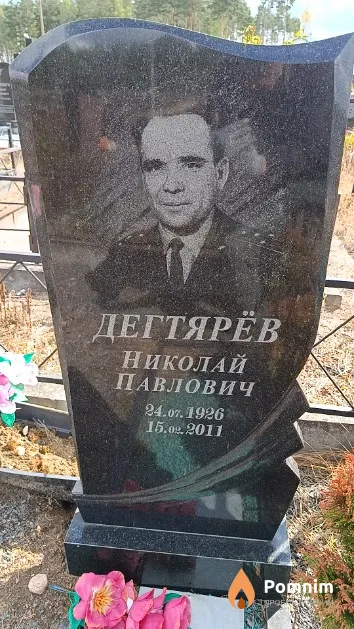 Дегтярёв Николай Павлович