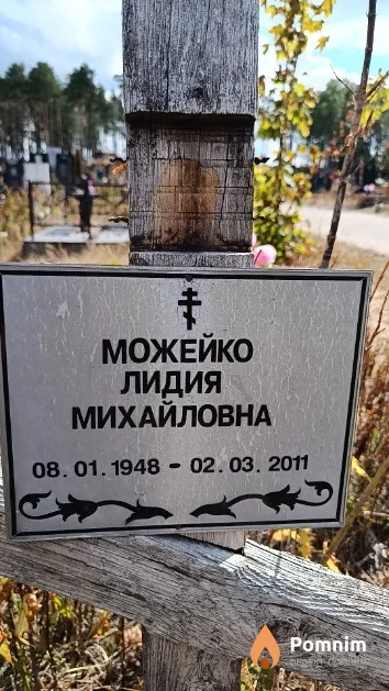 Можейко Лидия Михайловна