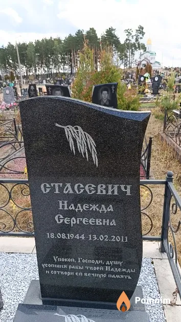 Стасевич Надежда Сергеевна