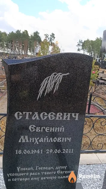 Стасевич Евгений Михайлович