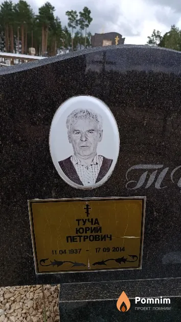 Туча Юрий Петрович