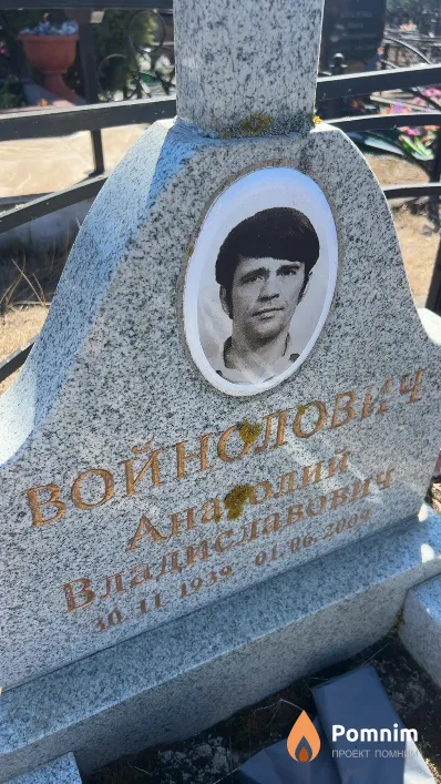 Войнолович Анатолий Владиславович