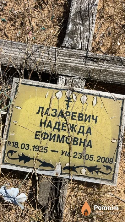 Лазаревич Надежда Ефимовна
