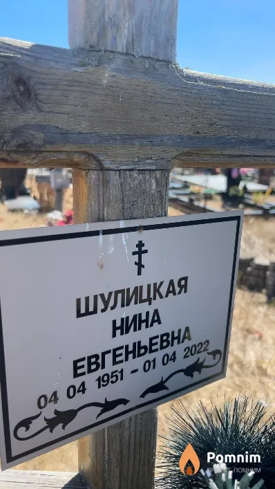 Шулицкая Нина Евгеньевна
