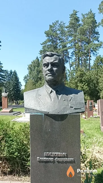 Мицкевич Владимир Федорович