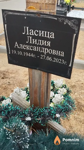 Ласица Лидия Александровна