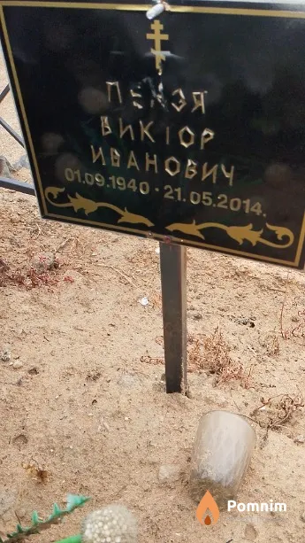 Пензя Виктор Иванович