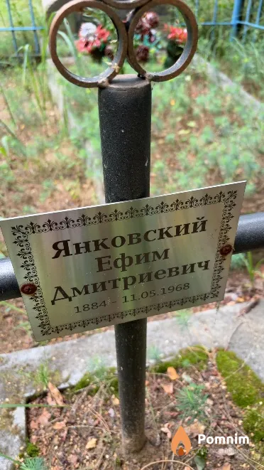 Янковский Ефим Дмитриевич