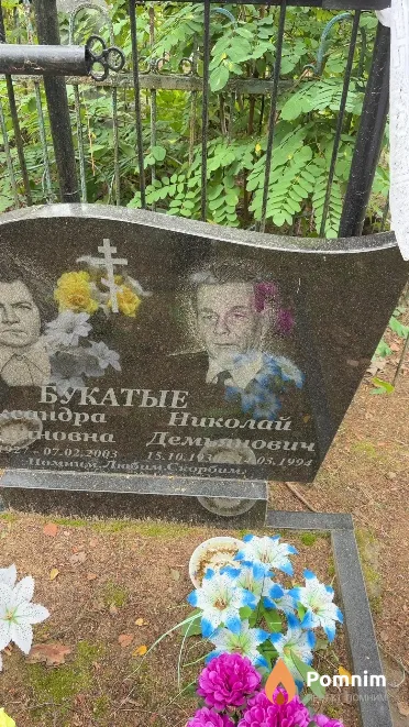 Букатый Николай Демьянович
