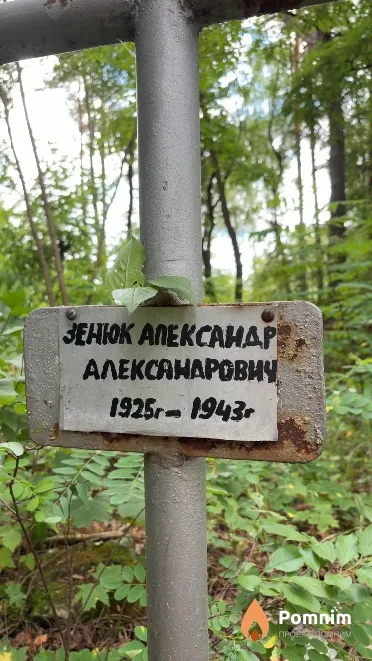 Зенюк Александр Александрович