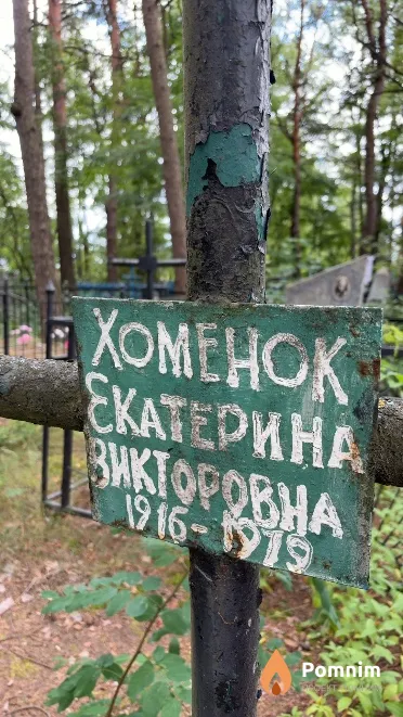 Хоменок Екатерина Викторовна