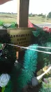 Захоронение ID 165