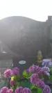 Захоронение ID 172