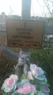 Захоронение ID 228