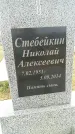 Захоронение ID 189153