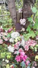 Захоронение ID 189562