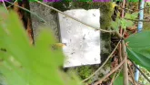 Захоронение ID 189561