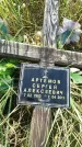 Захоронение ID 582