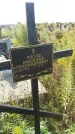 Захоронение ID 188936