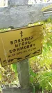 Захоронение ID 188931