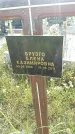 Захоронение ID 188853