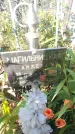 Захоронение ID 189774