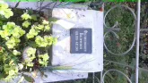 Захоронение ID 189510