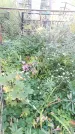 Захоронение ID 189690