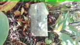 Захоронение ID 189854